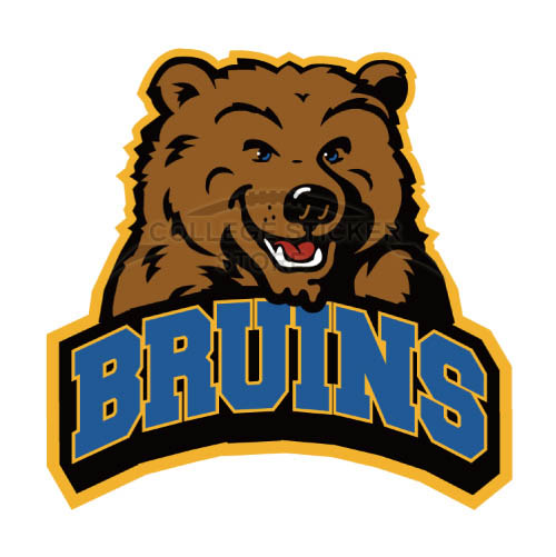 Diy UCLA Bruins Iron-on Transfers (Wall Stickers)NO.6640
